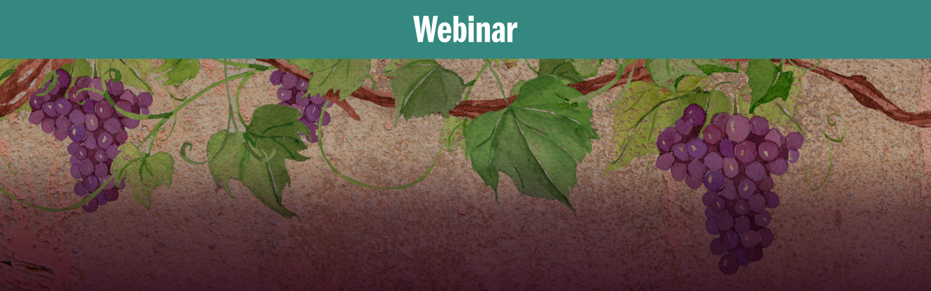 Mason-WOW-Vintage Wisdom STD-10.2025_Webinar-website