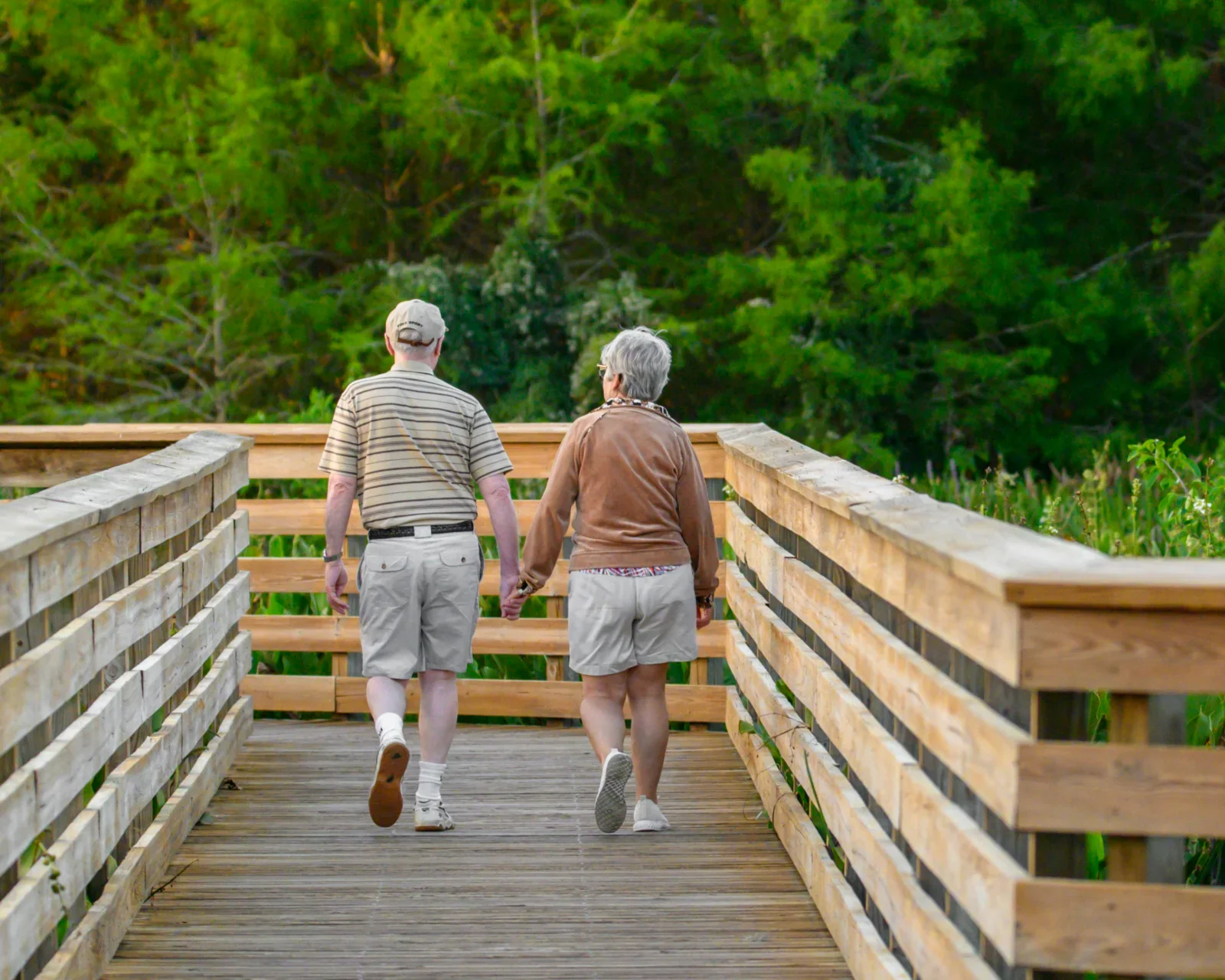 Two seniors walk hand-in-hand on a wooden boardwalk surrounded by green trees, seen from behind.